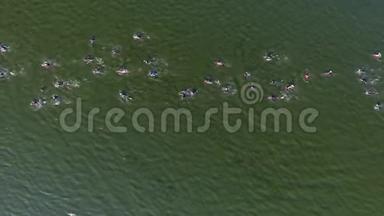 空中自上而下的水上竞赛，许多游泳者穿越深绿色的河流